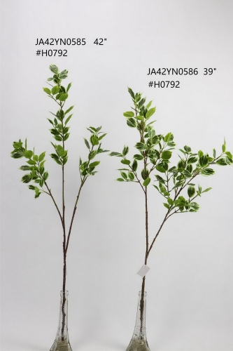 24-SPRING-JA42005
