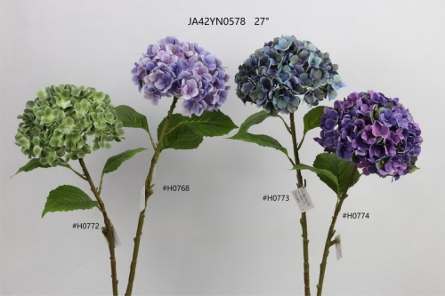 24-SPRING-JA42015