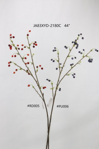 24-SPRING-JA83003
