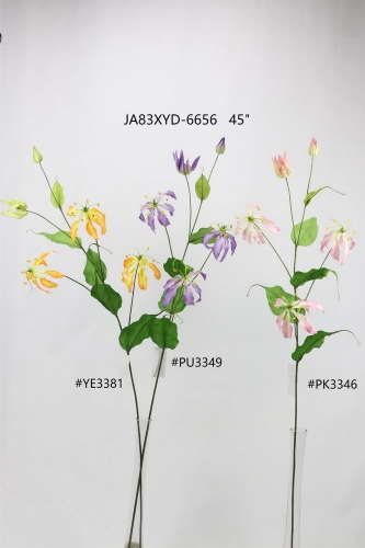 24-SPRING-JA83002