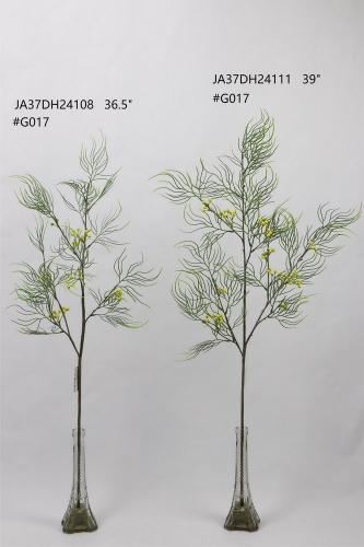 24-SPRING-JA37044