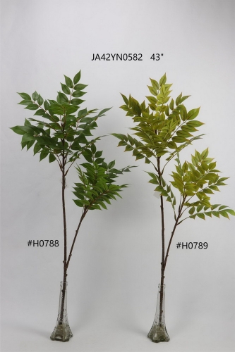 24-SPRING-JA42001