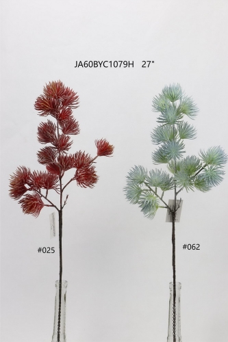24-SPRING-JA60006