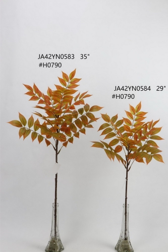 24-SPRING-JA42002