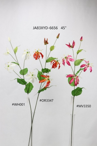 24-SPRING-JA83001