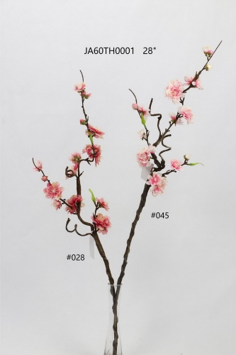 24-SPRING-JA60018