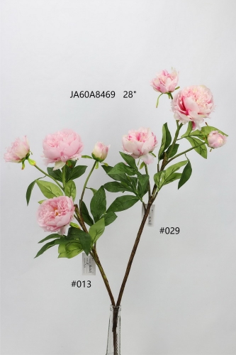 24-SPRING-JA60015