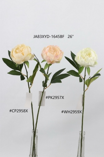 24-SPRING-JA83011