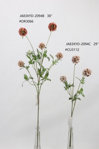 24-SPRING-JA83004
