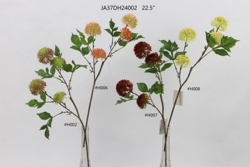 24-SPRING-JA37020