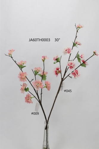 24-SPRING-JA60008