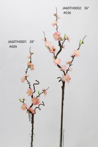 24-SPRING-JA60017