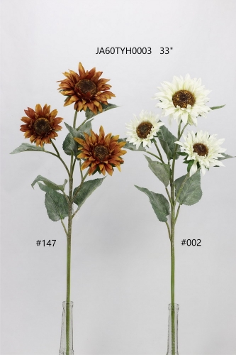 24-SPRING-JA60028