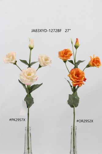 24-SPRING-JA83015