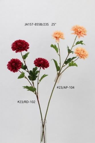 24-SPRING-014