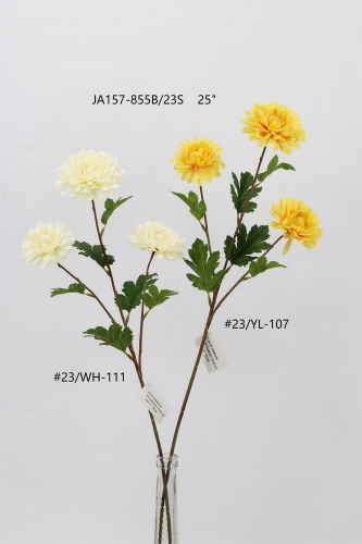 24-SPRING-015