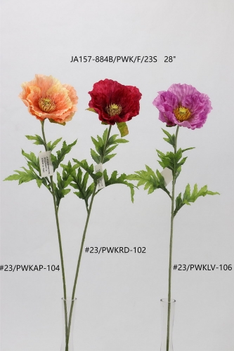 24-SPRING-002
