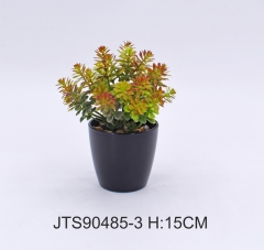 Item No.: JA150-JTS90485-3<br />
Col.: #