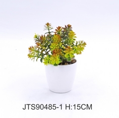 Item No.: JA150-JTS90485-1<br />
Col.: #