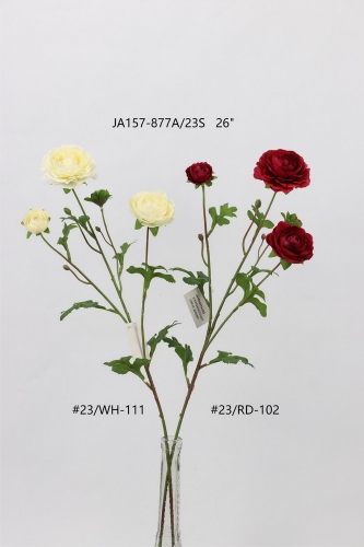 24-SPRING-008
