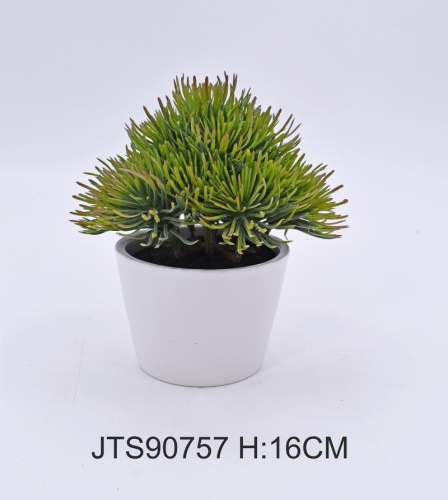 JA150-JTS90757