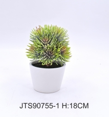 Item No.: JA150-JTS90755-1<br />
Col.: #