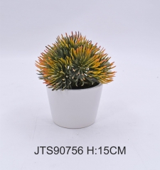 Item No.: JA150-JTS90756<br />
Col.: #