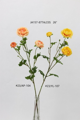 24-SPRING-009