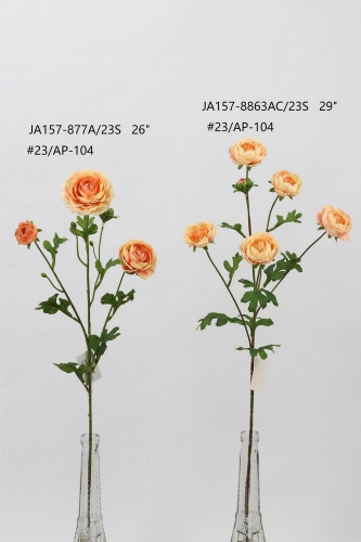24-SPRING-011