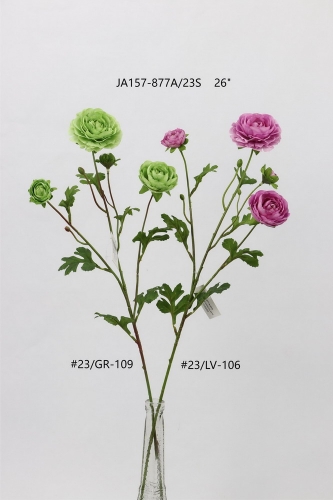 24-SPRING-010