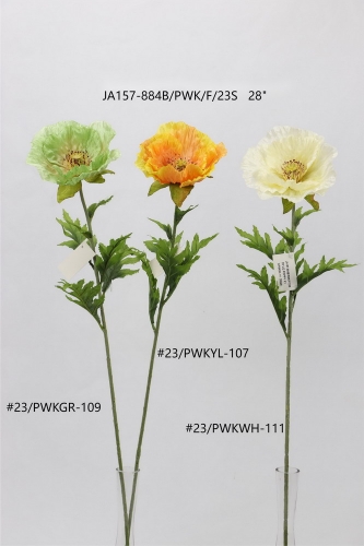 24-SPRING-003