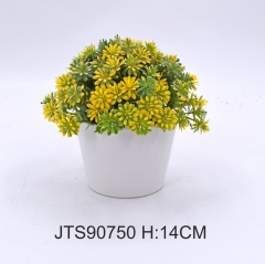 Item No.: JA150-JTS90750<br />
Col.: #