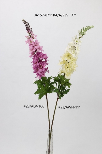 24-SPRING-061