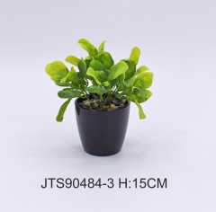 Item No.: JA150-JTS90484-3<br />
Col.: #