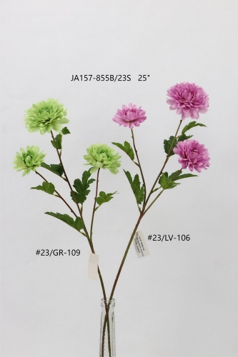 24-SPRING-013