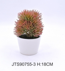 Item No.: JA150-JTS90755-3<br />
Col.: #
