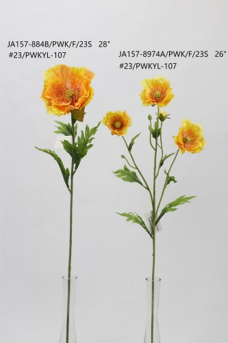 24-SPRING-001