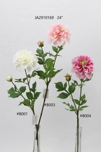 24-SPRING-JA29086