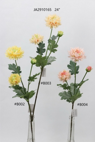24-SPRING-JA29100