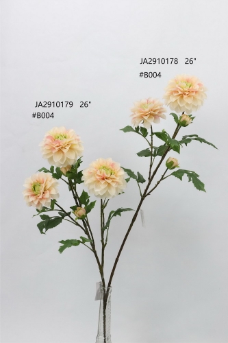 24-SPRING-JA29081