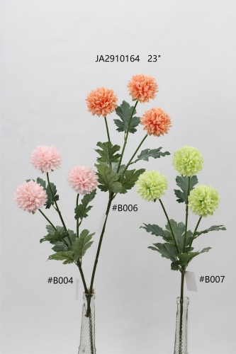 24-SPRING-JA29089