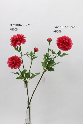 24-SPRING-JA29083