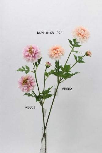 24-SPRING-JA29082