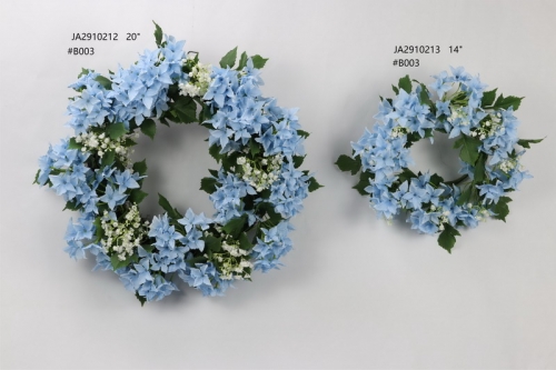 24-SPRING-JA29016