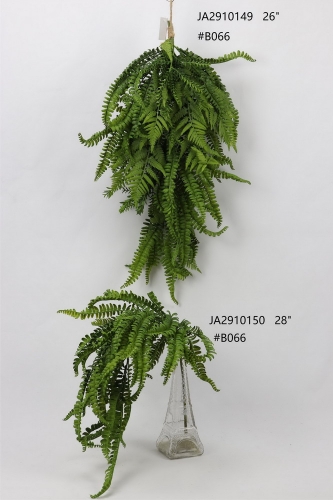 24-SPRING-JA29038
