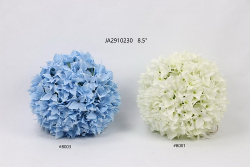 24-SPRING-JA29012