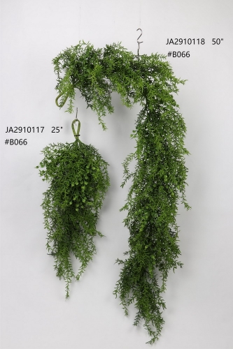 24-SPRING-JA29029