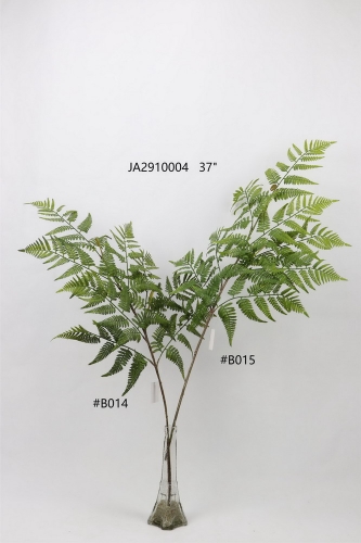 24-SPRING-JA29058