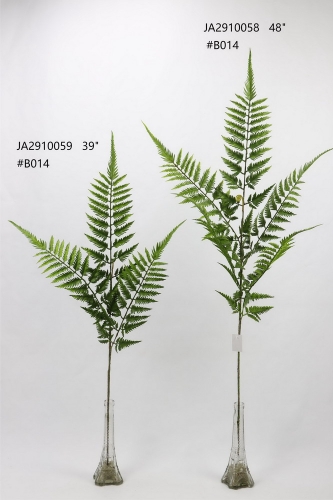24-SPRING-JA29065