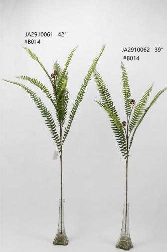 24-SPRING-JA29055